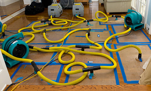 Professional Water Extraction technician working in Nassau, NY